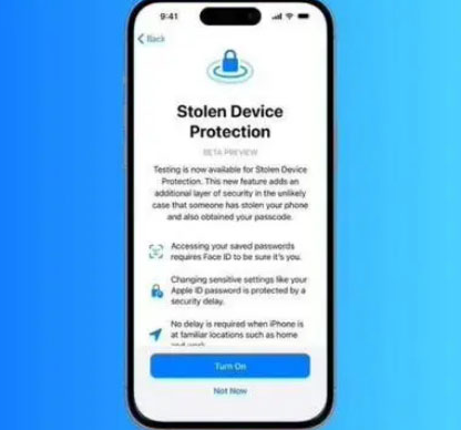 凤山苹果授权维修店分享被盗设备保护功能开启方法 
