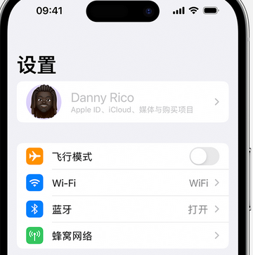 凤山appleID维修服务iPhone设置中Apple ID显示为灰色无法使用 