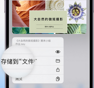 凤山apple维修中心分享iPhone文件应用中存储和找到下载文件