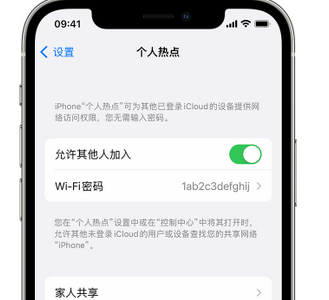 凤山apple服务站点分享iPhone上个人热点丢失了怎么办 