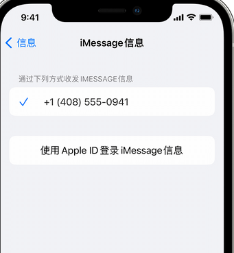 凤山apple维修iPhone上无法正常发送iMessage信息 