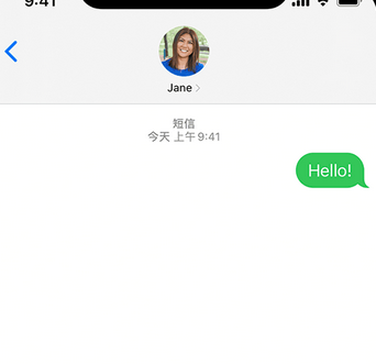 凤山apple维修iPhone上无法正常发送iMessage信息