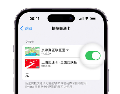 凤山apple维修点分享iPhone上更换Apple Pay快捷交通卡手绘卡面 