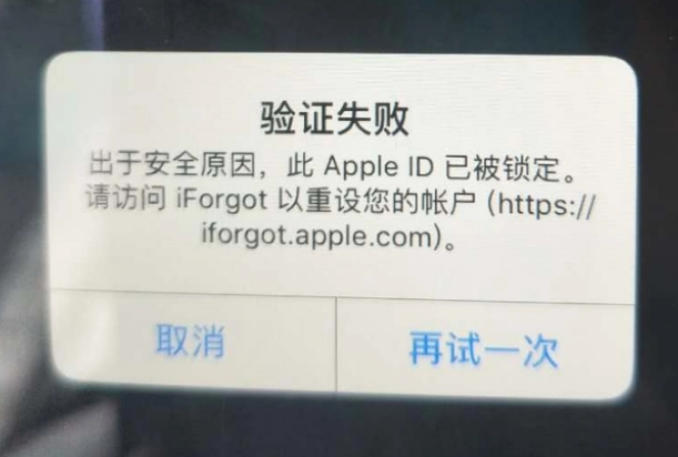 凤山iPhone维修分享iPhone上正常登录或使用AppleID怎么办 