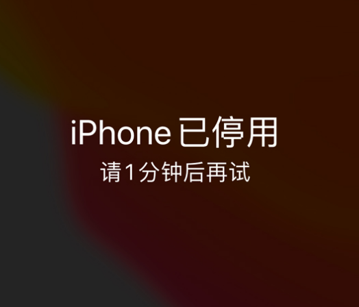 凤山苹果手机维修分享:iPhone 显示“不可用”或“已停用”怎么办？还能保留数据吗？ 