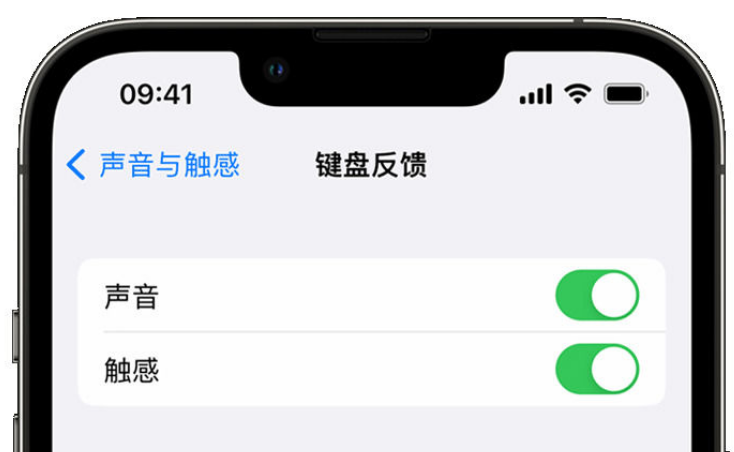 凤山苹果手机维修分享iPhone 14触感键盘使用方法 