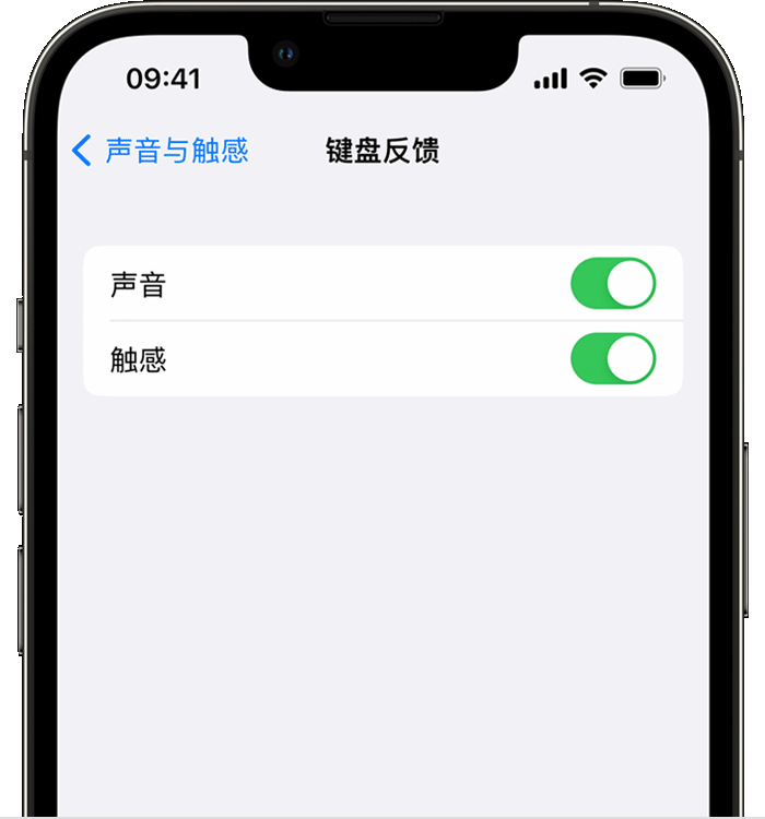 凤山苹果14维修店分享如何在 iPhone 14 机型中使用触感键盘 