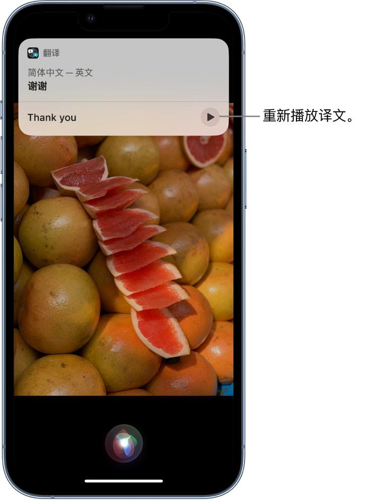 凤山苹果14维修分享 iPhone 14 机型中使用 Siri：了解 Siri 能帮你做什么 