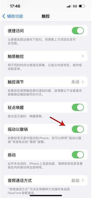 凤山苹果手机维修分享iPhone手机如何设置摇一摇删除文字 