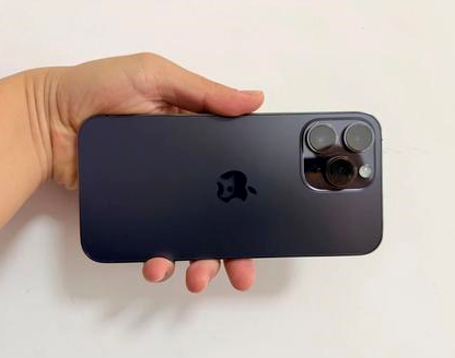 凤山苹果维修点分享iPhone 14 Pro Max发烫多重诱因剖析 